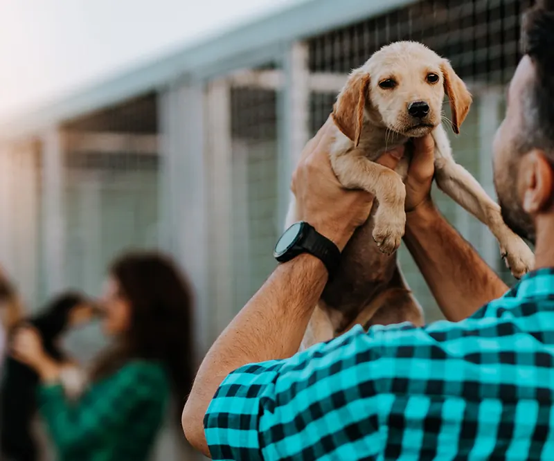 Man adopting a puppy from SDOG ECO shelter